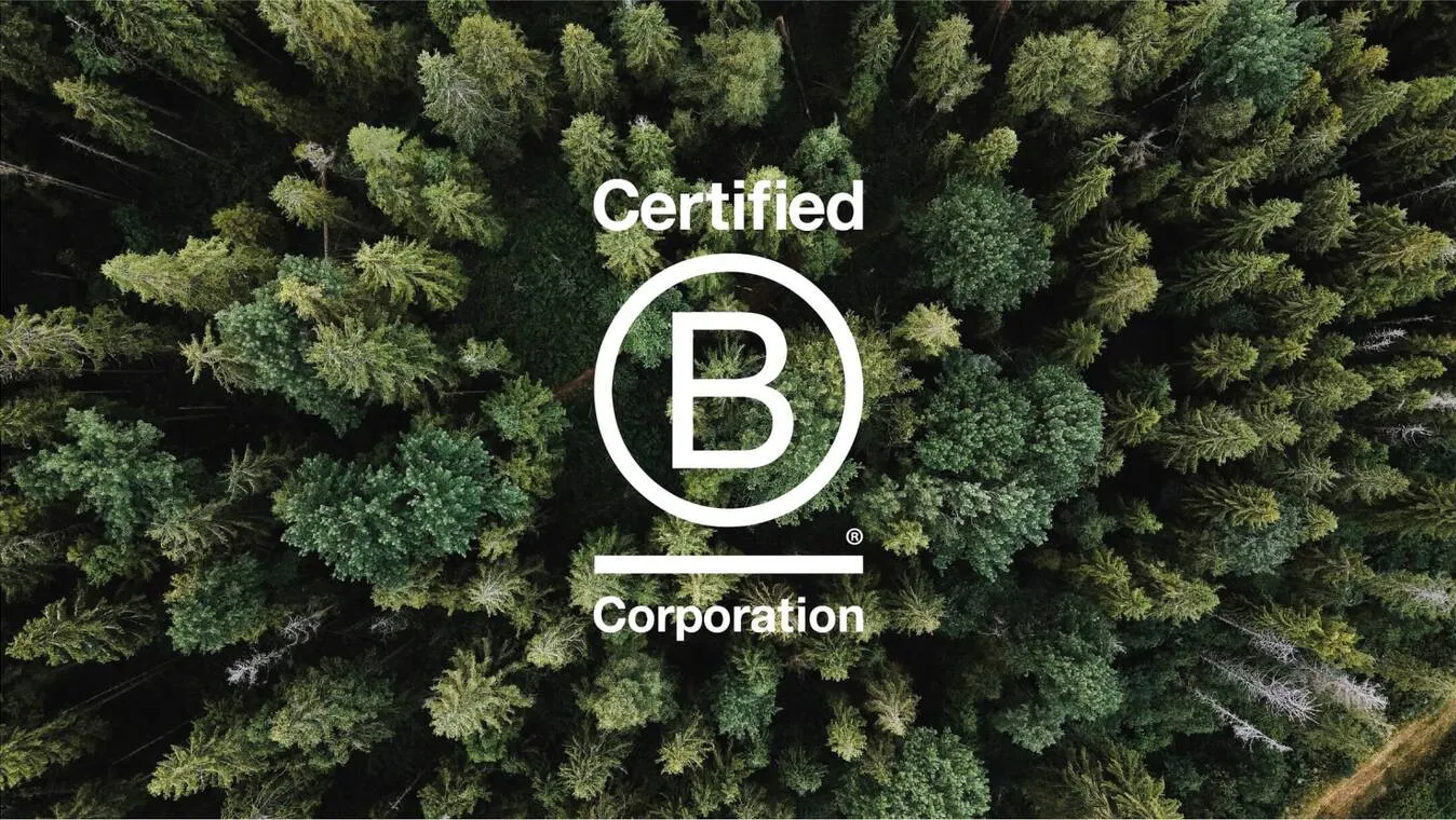 66a36ae30db61bd138917c6d_66a369d534b4808fbb7cdd37_4 (1)